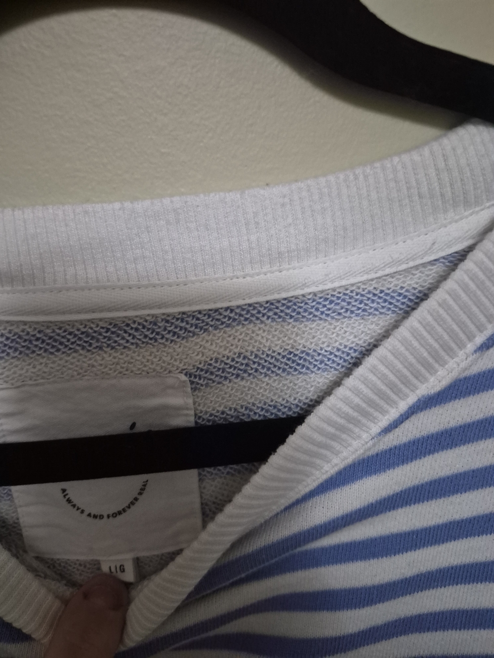 aerie Blue and White Striped Crewneck Sweater